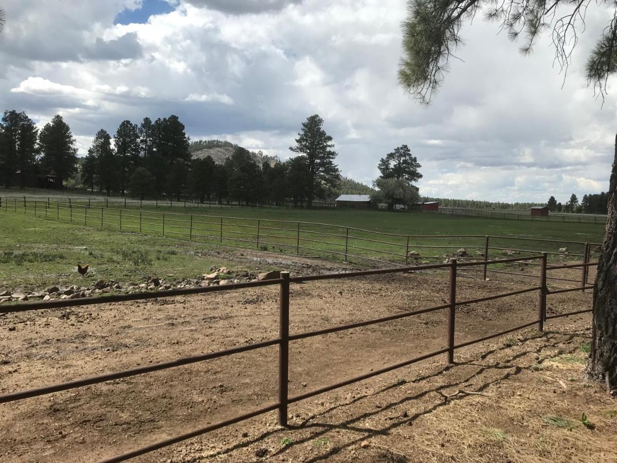 Grand Canyon Cottage At Historic Wrigley Ranch With Horseback Riding & Shooting Parks Eksteriør bilde