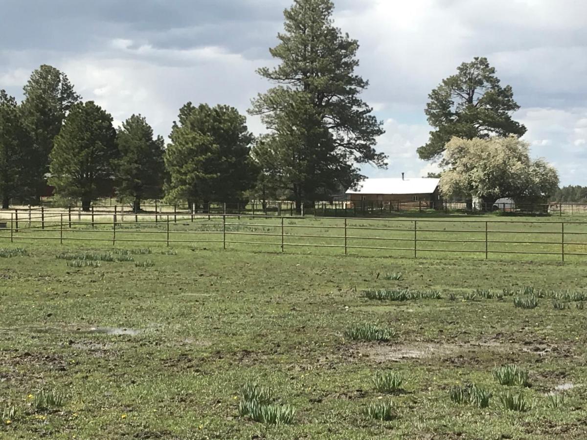 Grand Canyon Cottage At Historic Wrigley Ranch With Horseback Riding & Shooting Parks Eksteriør bilde